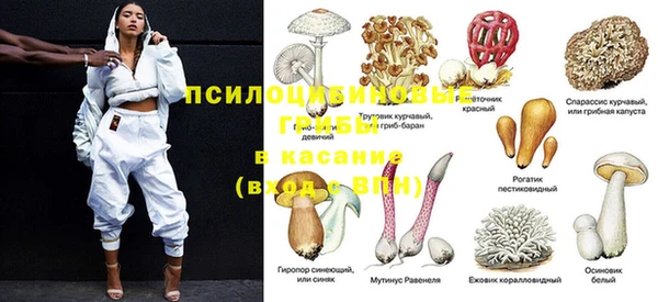 эйфоретик Арсеньев