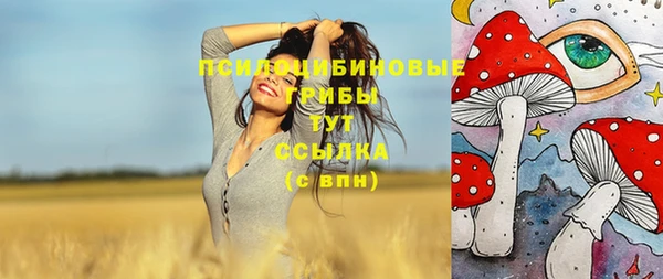 сатива Алексин