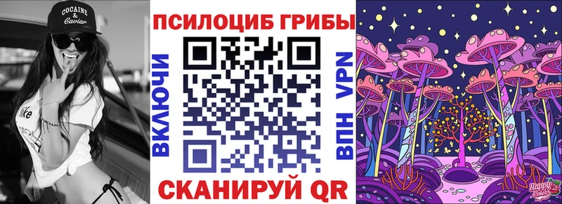 где продают   Краснослободск  Галлюциногенные грибы Cubensis 